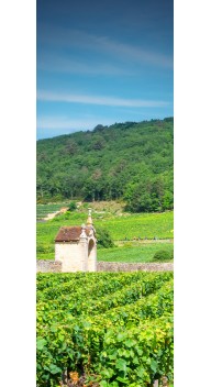 Bourgogne Smagning, Jysk Vin Vinbar - Vinsmagninger og events